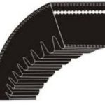 ESCONRAW EDGE COGGED BELT