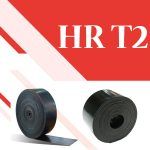 HR T2